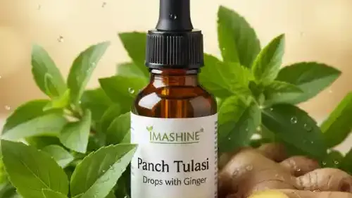 Panch Tulasi Drops with Ginger: Ayurvedic Immunity Booster for Cough, Cold & Detox Naturally