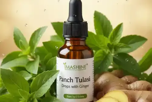 Panch Tulasi Drops with Ginger: Ayurvedic Immunity Booster for Cough, Cold & Detox Naturally